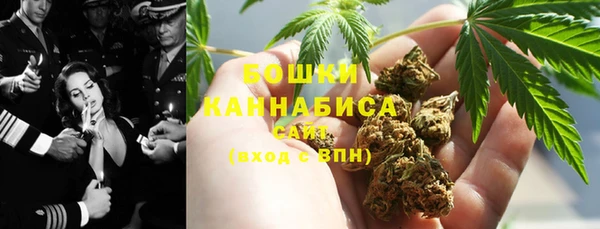 шишки Дмитров