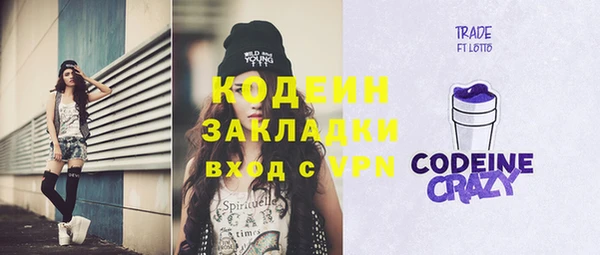 гашик Дмитровск
