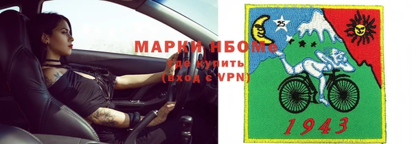 гашик Дмитровск
