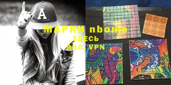 гашик Дмитровск