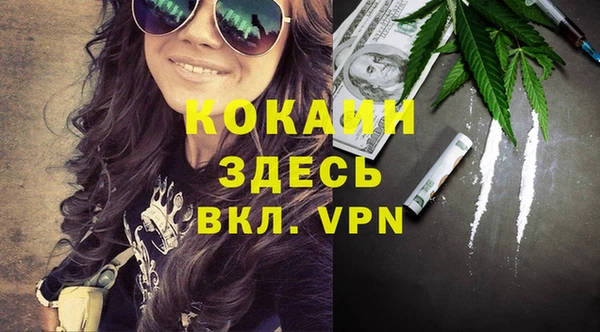 амф Дмитриев