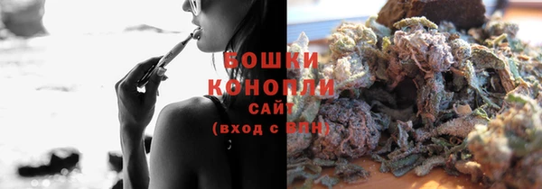 шишки Дмитров