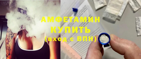 амф Дмитриев