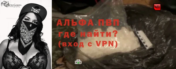 гашик Дмитровск