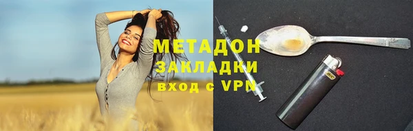 амф Дмитриев