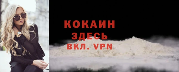 амф Дмитриев