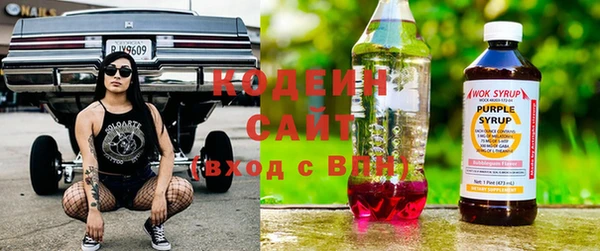 амф Дмитриев