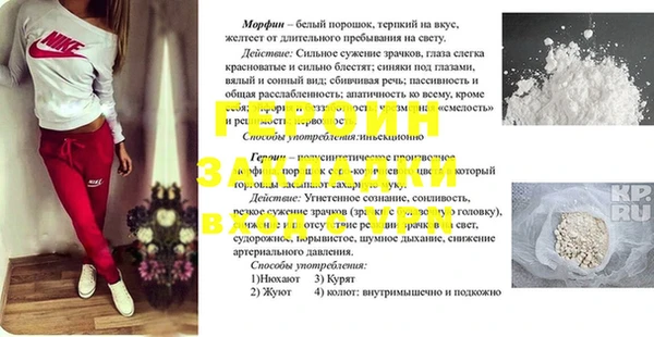 шишки Дмитров