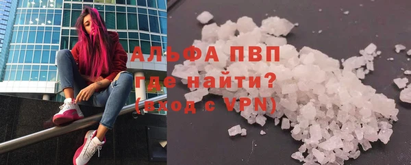 амф Дмитриев