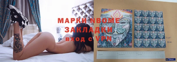 амф Дмитриев