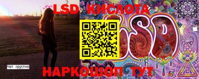 стафф Бийск